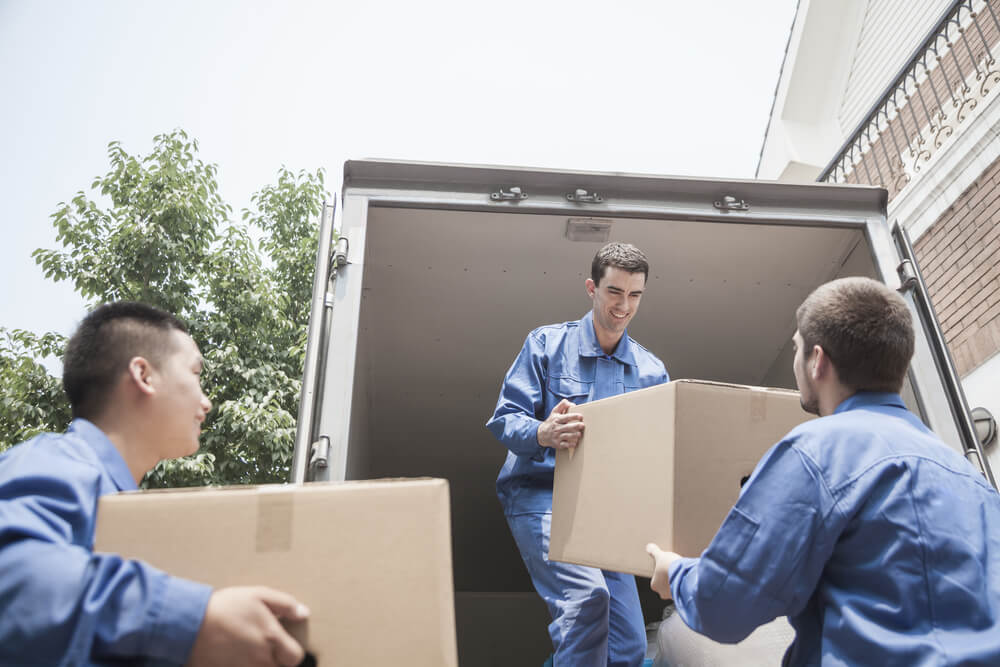Packing And Moving San Ysidro